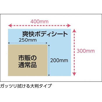 爽快ボディシート 厚手タイプ 30枚入り TRUSCO