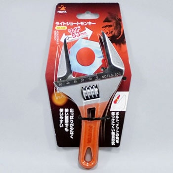 FLS-53G ���C�g�V���[�g�����L�[ �t�W�� 89640311