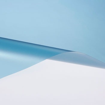 SH2FRBLX tXg 3M(X[G) 89669694