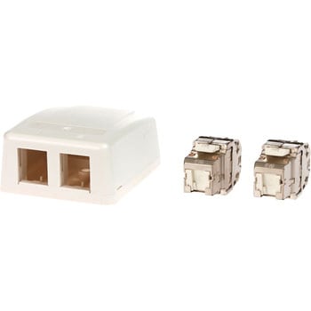 Cat6A RJ45ジャック+露出型アウトレット(2ポート) コーニング