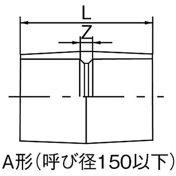 透明TS継手 ソケット クボタケミックス(クボタシーアイ)