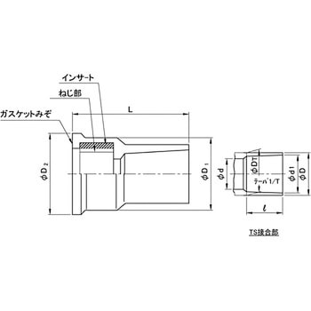 透明TS メタル給水栓ソケット クボタケミックス(クボタシーアイ)