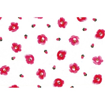 銀龍包装紙 大黒工業