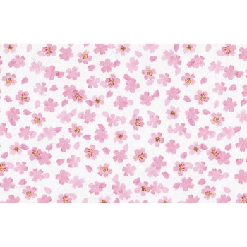 銀龍包装紙 大黒工業