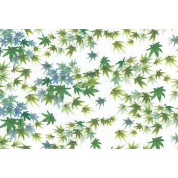 銀龍包装紙 大黒工業