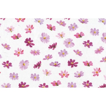 銀龍包装紙 大黒工業