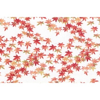 8 �◴��� �单�H�� 89765086