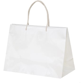 グロッシー - 日生化学