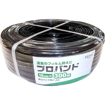 - voh nӃpCv(SEDIA) 89796113