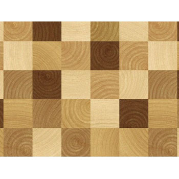 REN-10 \Ă͂鉖rV[g aOrA 89824586