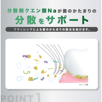 GUM(ガム)デンタルリンス レギュラー各種 サンスター