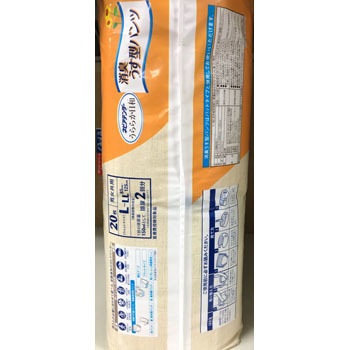 4個セット テンダー うららか日和 消臭うす型パンツ Lサイズ 20枚入り×4セット オムツ 紙おむつ 紙オムツ 介護 大人 施設 ネピア nepia 王子ネピア ネピアテンダー うららか日和 消臭うす型パンツ 300cc M-L 2