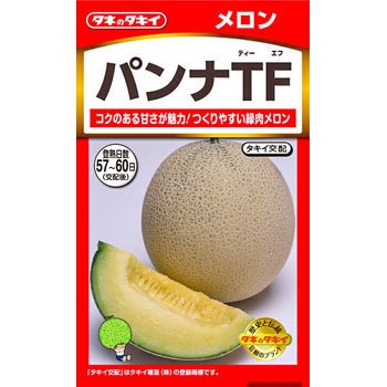 ころたん pic04.png