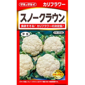 ASB003 【タネ】カリフラワー スノークラウン 1袋(0.9mL×5袋) タキイ種苗 【通販モノタロウ】