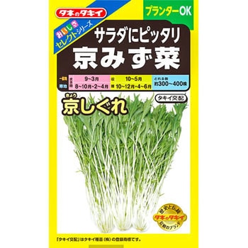 【タネ】おいしさセレクト サラダにピッタリ京みず菜 京しぐれ タキイ種苗