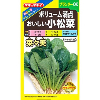 【タネ】おいしさセレクト ボリューム満点 おいしい小松菜 菜々美 タキイ種苗