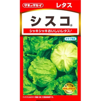 【タネ】レタス シスコ タキイ種苗