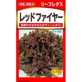 タネ リーフレタス レッドファイヤー タキイ種苗 野菜の種 通年 通販モノタロウ Ale530