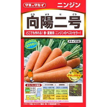 【タネ】ニンジン 向陽二号 タキイ種苗 野菜の種 通年 【通販モノタロウ】 ACH018