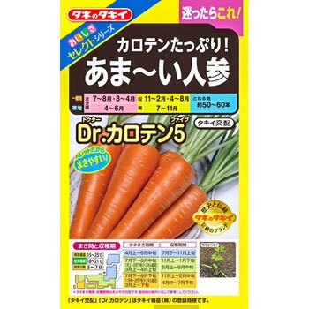 【タネ】おいしさセレクト カロテンたっぷり!あま～い人参 Dr．カロテン5 タキイ種苗