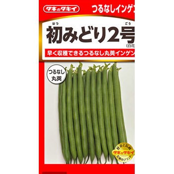 タネ つるなしインゲン 初みどり2号 タキイ種苗 野菜の種 春まき 通販モノタロウ Asa122