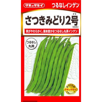 タネ つるなしインゲン さつきみどり2号 タキイ種苗 野菜の種 春まき 通販モノタロウ Asa126