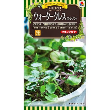 タネ ハーブ ウォータークレス タキイ種苗 野菜の種 通年 通販モノタロウ Aty607