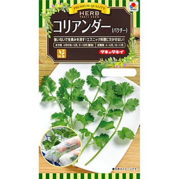 タネ ハーブ コリアンダー タキイ種苗 野菜の種 通年 通販モノタロウ Aty611