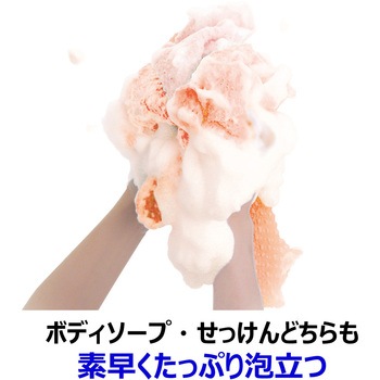 キクロンアワスターふつうオレンジ H キクロン