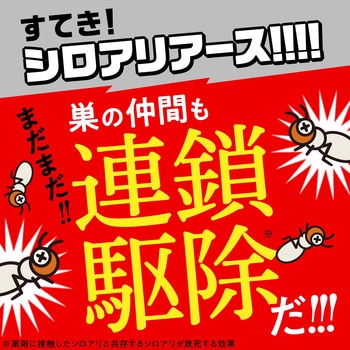 4901080236012 シロアリアース アース製薬 エアゾール 有効期間1 4901080236012 シロアリアース アース製薬 エアゾール 有効期間1