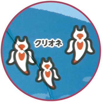 海のいきものパズル アーテック(学校教材・教育玩具)