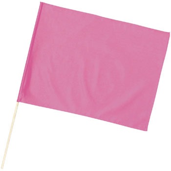 3252 �T�e������� �A�[�e�b�N[�w�Z���ށE����ߋ�] 89848124