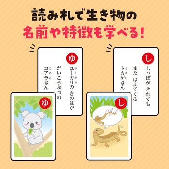 いきものかるた アーテック(学校教材・教育玩具)