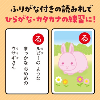 いきものかるた アーテック(学校教材・教育玩具)