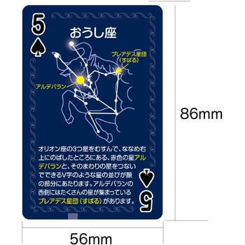 星座トランプ アーテック(学校教材・教育玩具)