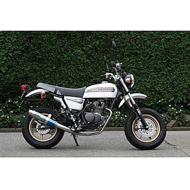 6036Z マフラー 80D-RAPTOR Titan RPM 適合車種APE100 Type-D 政府規格   6036Z