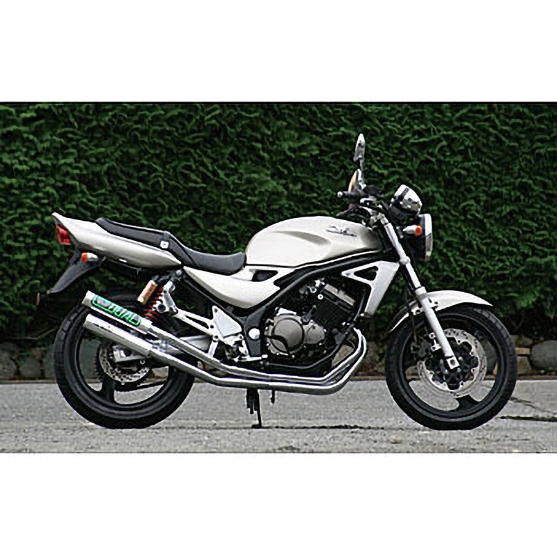 1064 マフラー RPM DUAL RPM 適合車種BALIUS-2 規格JMCA 【通販