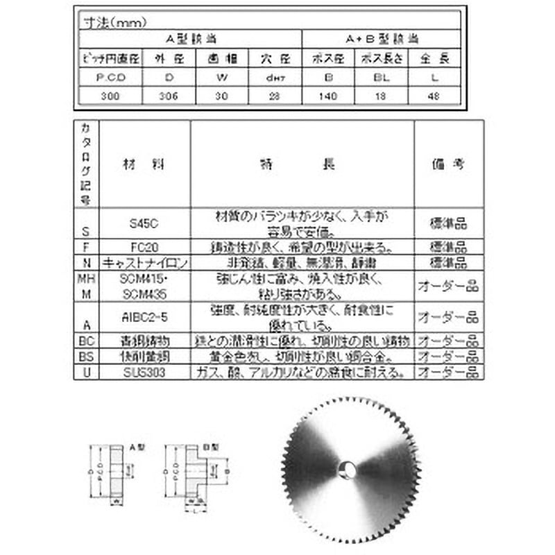 SFA30100 スパーギヤ MP=3.0 青木精密工業 FC200製   SFA30100