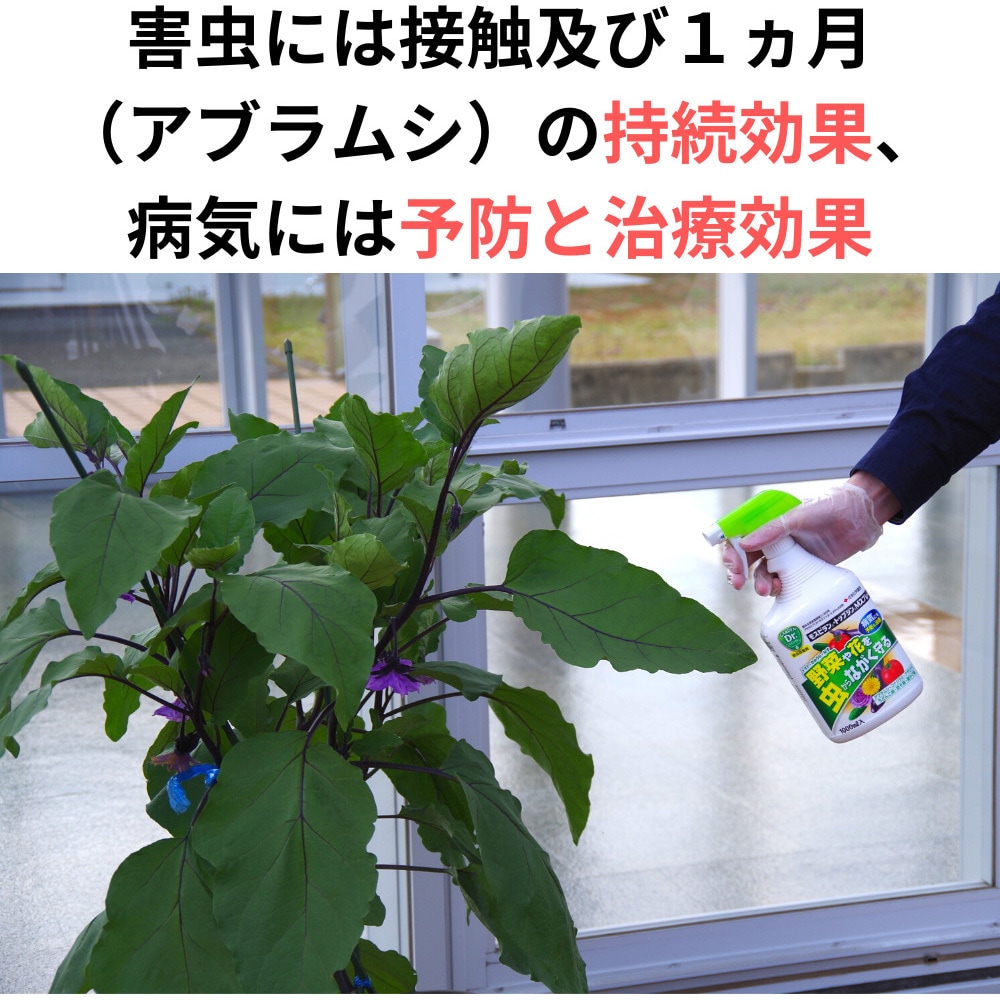 モスピラン・トップジンMスプレー KINCHO園芸(旧:住友化学園芸