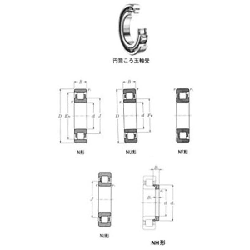 NF219 円筒ころ軸受 NTN(エヌティーエヌ) 内径95mm外径170mm幅32mm  NF219