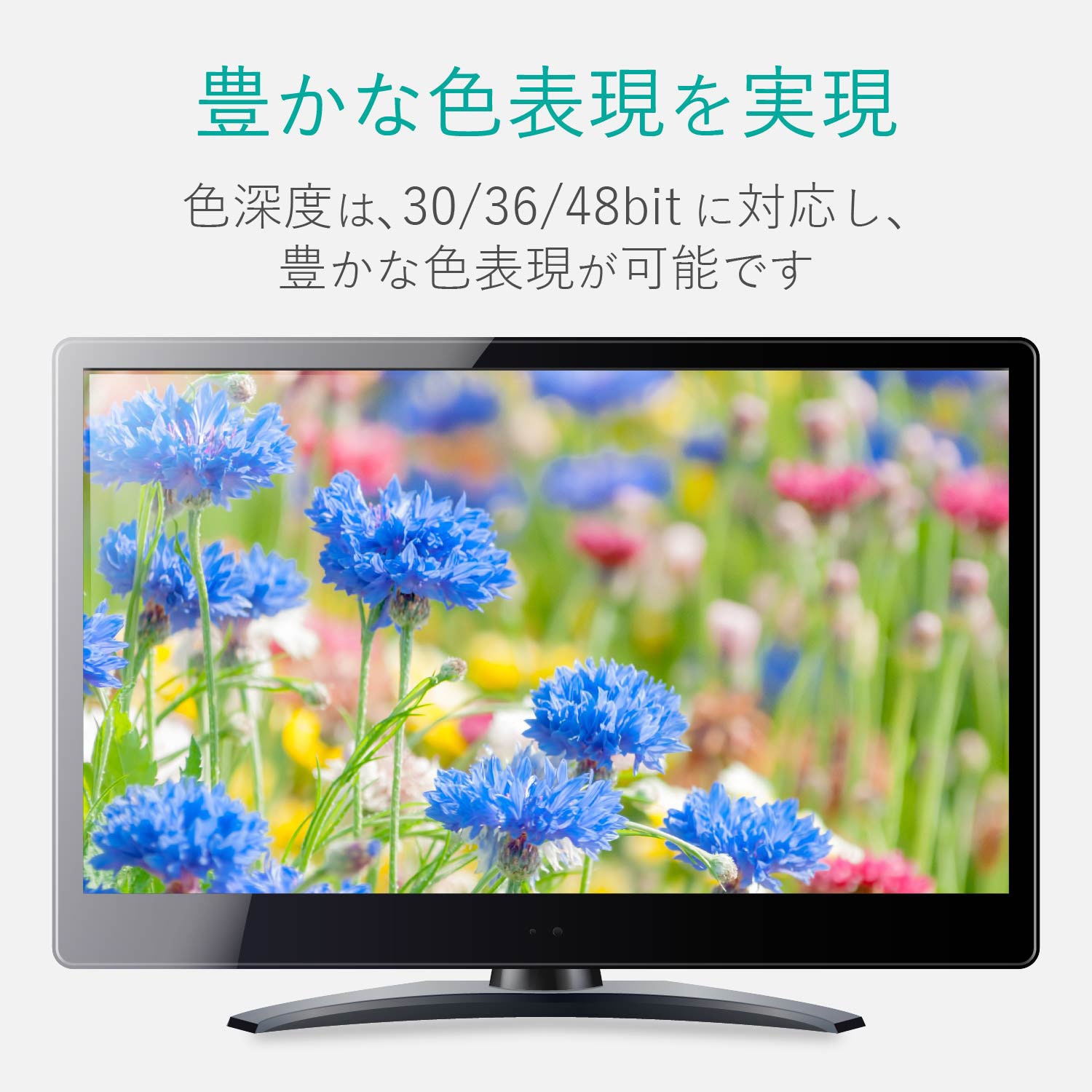 テレビ・映像機器 １０ｍ ＨＤＭＩケーブル ＥＬＥＣＯＭ ＤＨ