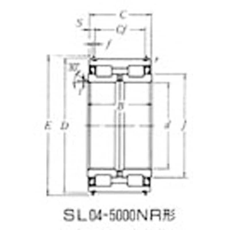 SL04-5009LLNR シーブ用SL形円筒ころ軸受 NTN(エヌティーエヌ) 複列 内径45mm外径75mm幅40mm  SL04-5009LLNR