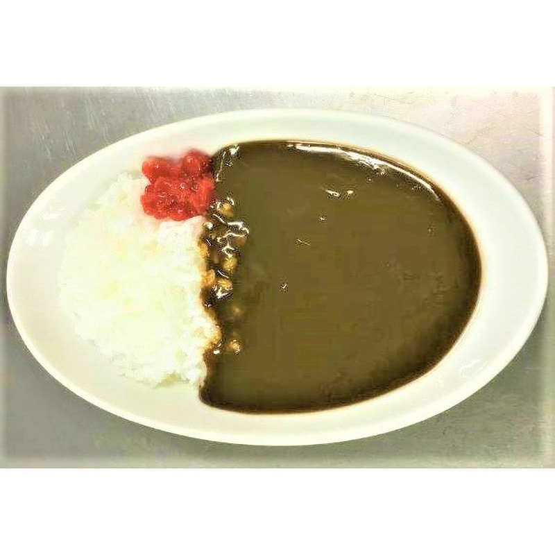 カレーライス 食品サンプル 1個 イムラサンプル 【通販モノタロウ】