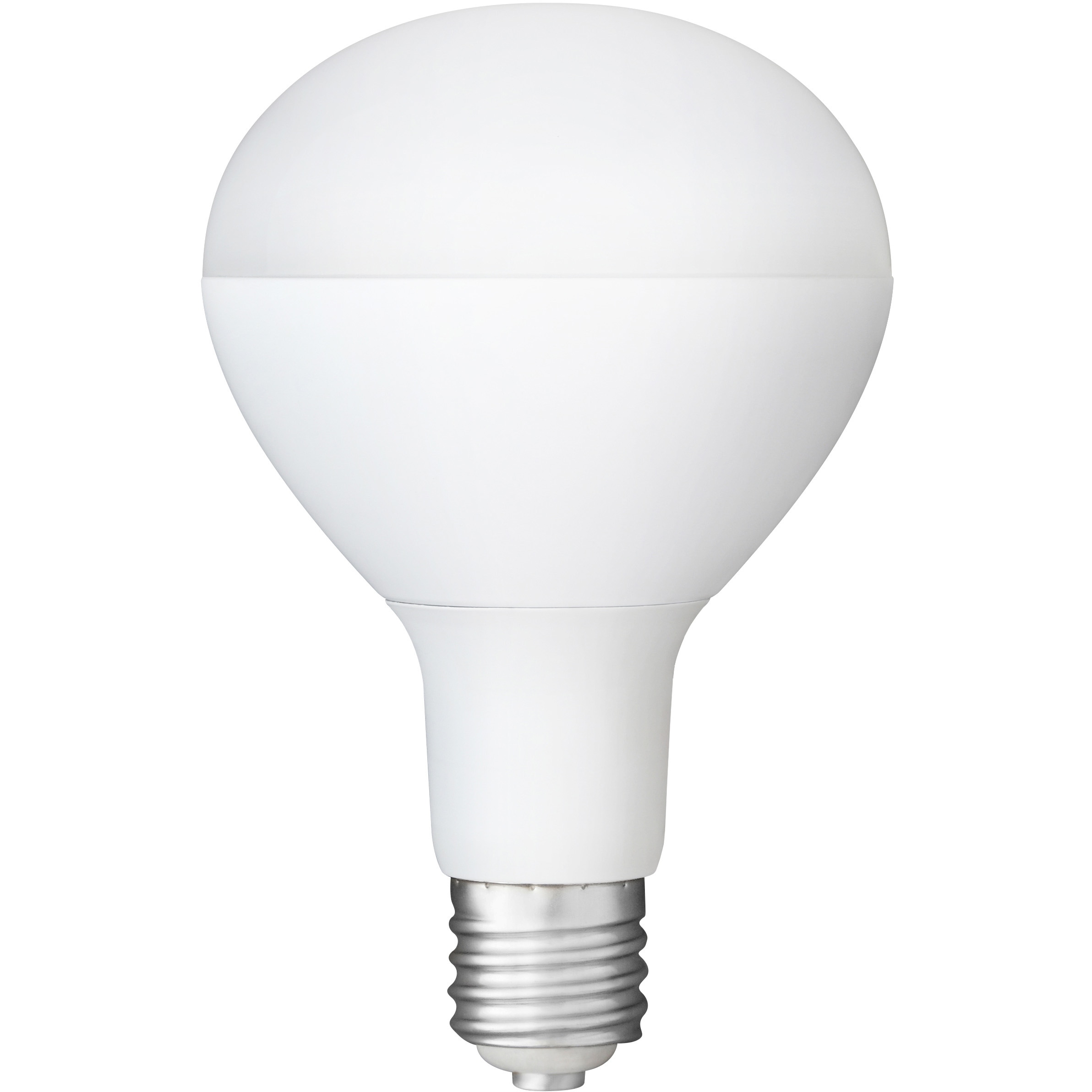 LDR25D-H-E39-E2 LED投光器 交換電球 【20000時間】 1台 アイリス