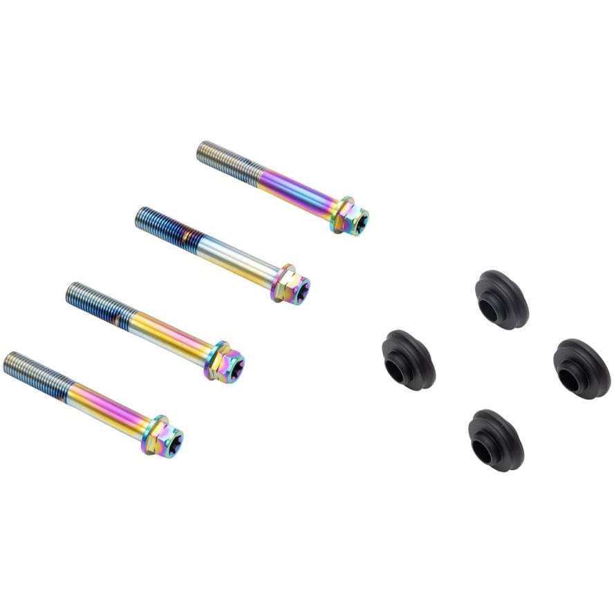 CBY-01BFT オフセットカラーマウントボルトセット 適合キャリパーB フランジ六角 チタン色 CBY-01BFT プロトブレンボ ねじサイズM10