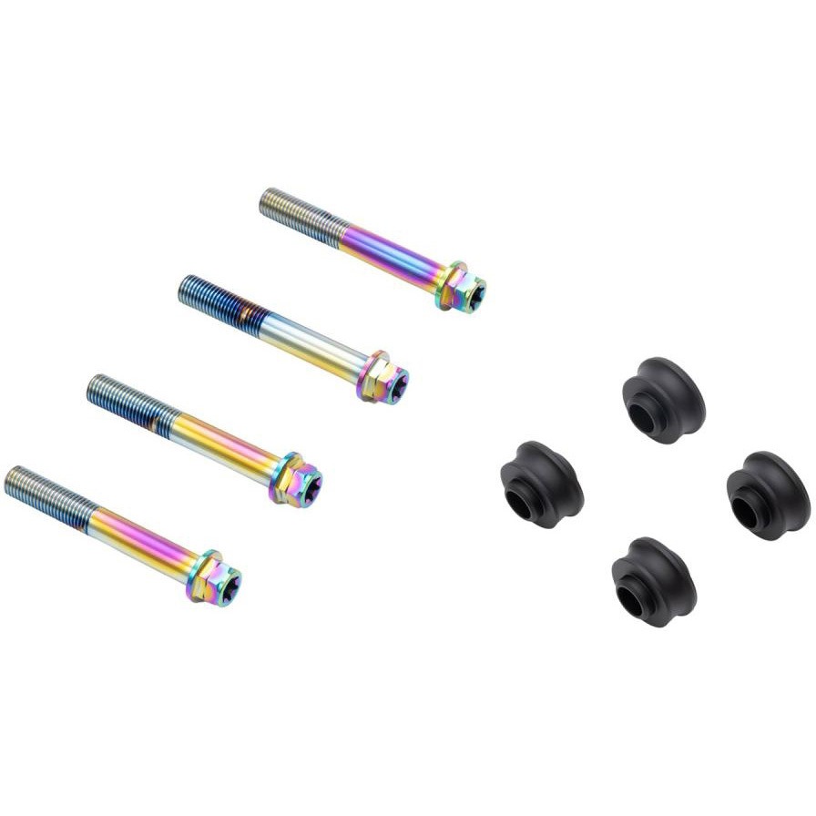 CBY-06AFT オフセットカラーマウントボルトセット 適合キャリパーA フランジ六角 チタン色 CBY-06AFT プロトブレンボ ねじサイズM10