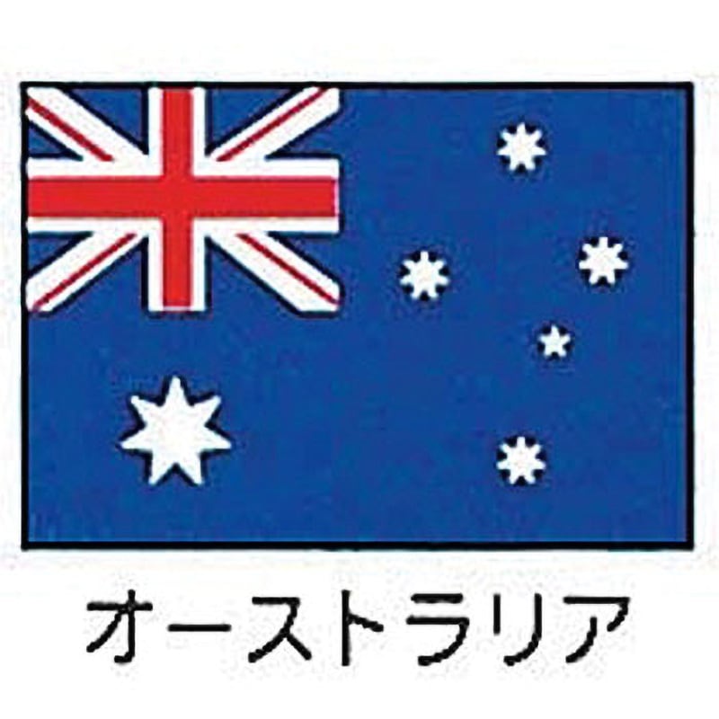 エクスラン万国旗 上西産業 縦700mm横1050mm