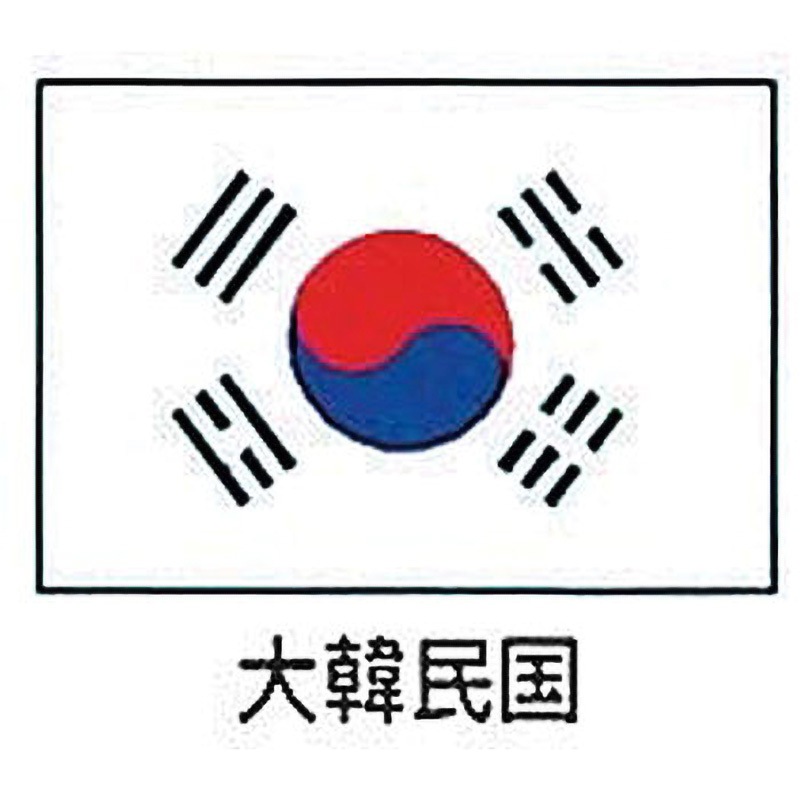 エクスラン万国旗 上西産業 縦700mm横1050mm