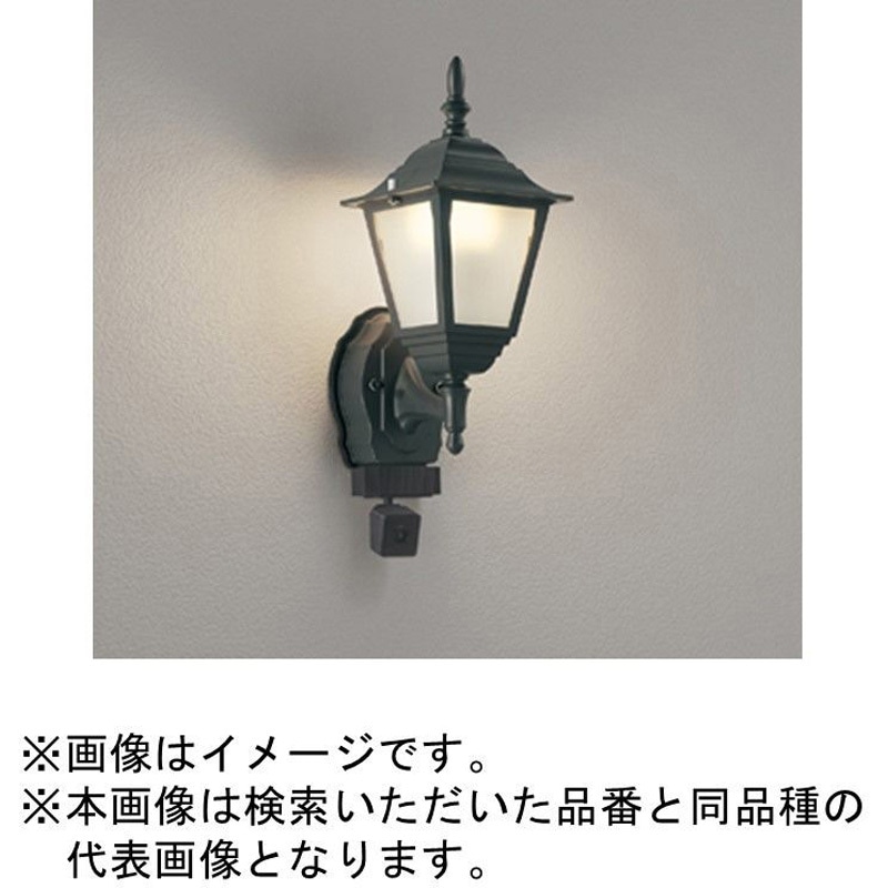 OG264158LCR 高演色LED エクステリアポーチライト カメラ付 ODELIC