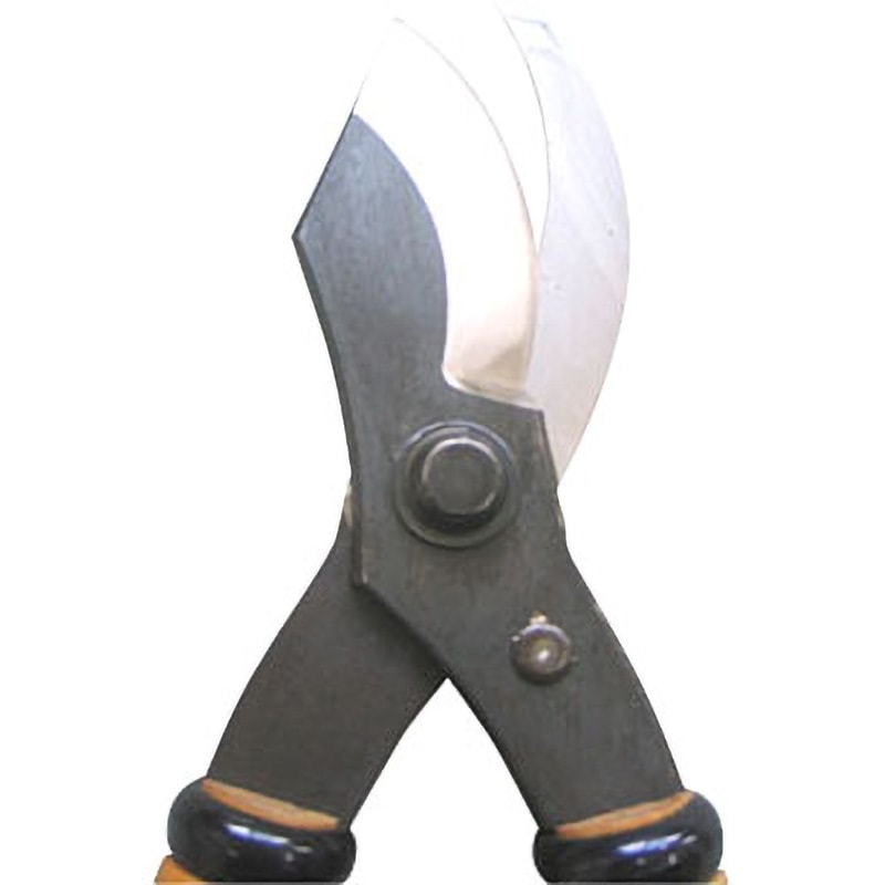 剪定鋏 アソート 剪定鋏 アソート Amazon | 1220 Zact(ザクト)剪定鋏ZS